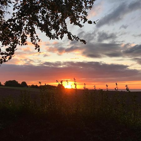 Hof Uhleck Am Koenigsstuhl Leilighet Lohme Eksteriør bilde