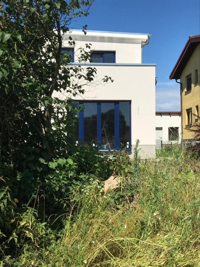Hof Uhleck Am Koenigsstuhl Leilighet Lohme Eksteriør bilde