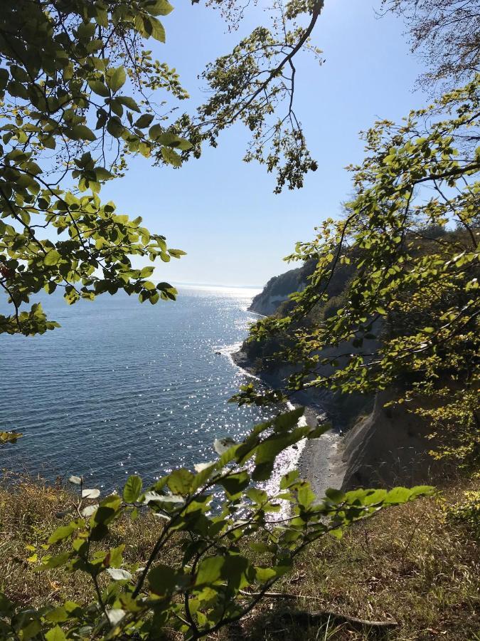 Hof Uhleck Am Koenigsstuhl Leilighet Lohme Eksteriør bilde
